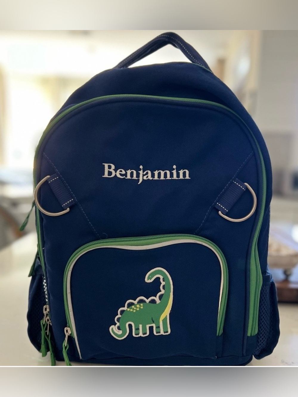 Pottery Barn Kids Navy & Green Dinosaur Backpack